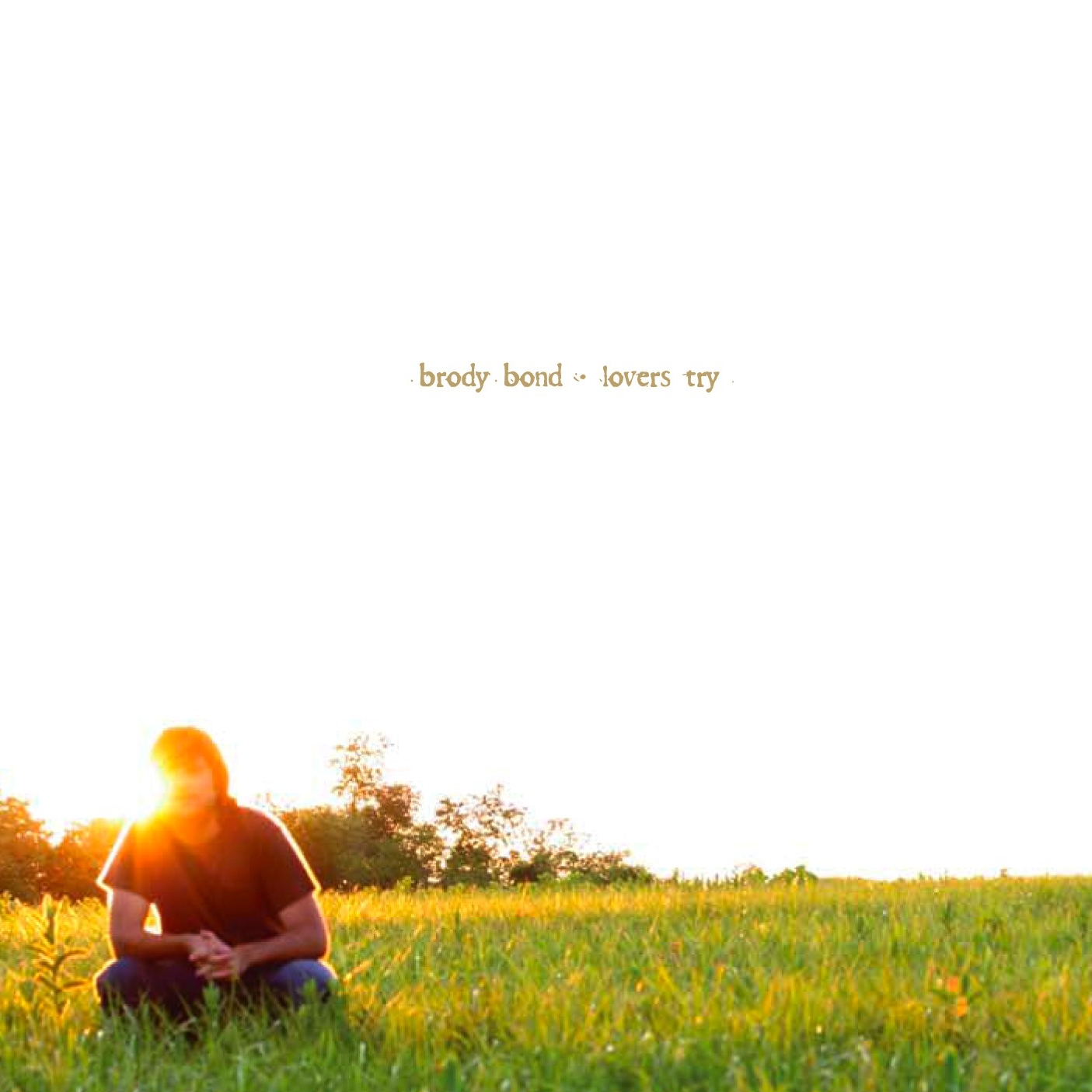 Lovers Try album cover